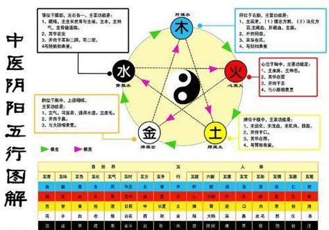 木生火 火生土 土生金 金生水|《春秋繁露》五行之义